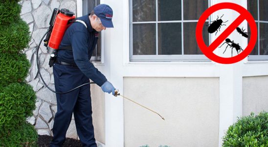 Nurhak Bit İlaçlama böcek ilaçlama ve haşere kontrolü — ilaclama-tr.com
